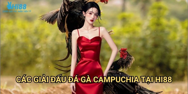 Đá gà Campuchia Hi88 - Sân chơi cá cược gà chọi chuyên nghiệp 2 Các giải đấu đá gà Campuchia tại Hi88