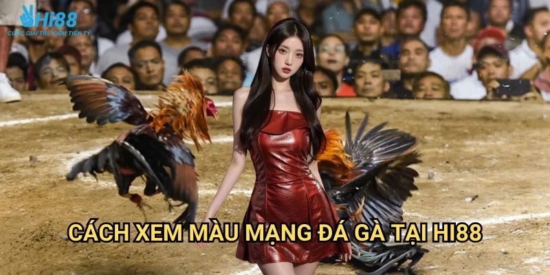Màu mạng đá gà Hi88 - Phong thủy cá cược theo ngũ hành tương sinh 2 Cách xem màu mạng đá gà tại Hi88