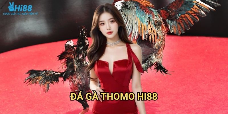 Đá gà Thomo Hi88 - Trực tiếp từ trường gà Campuchia uy tín nhất 1 Đá gà Thomo Hi88 - Trực tiếp từ trường gà Campuchia uy tín nhất
