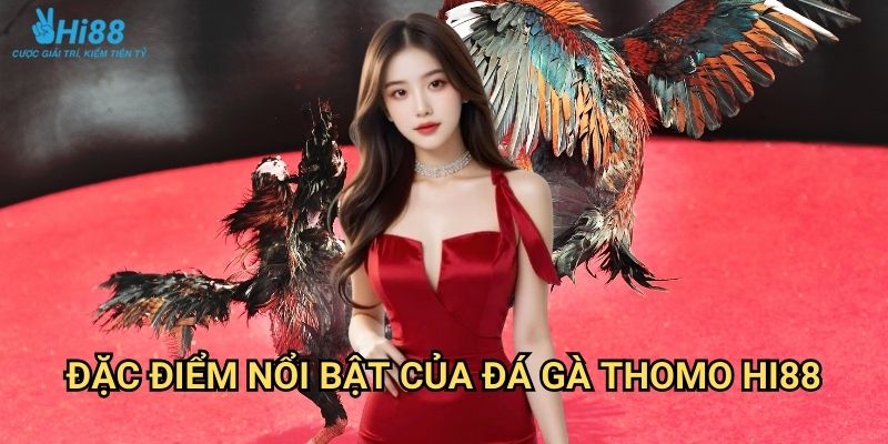 Đá gà Thomo Hi88 - Trực tiếp từ trường gà Campuchia uy tín nhất 2 Đặc điểm nổi bật của đá gà Thomo Hi88