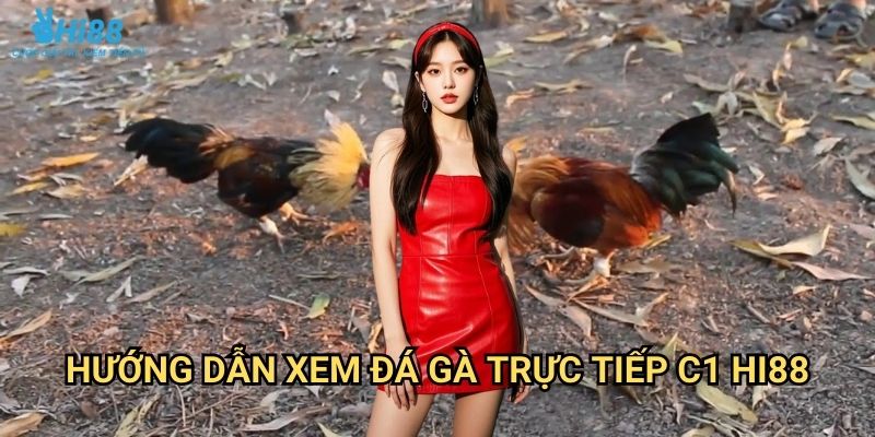 Đá gà trực tiếp C1 Hi88 - Giải đấu cao cấp với gà chiến hàng đầu 3 Hướng dẫn xem đá gà trực tiếp C1 Hi88