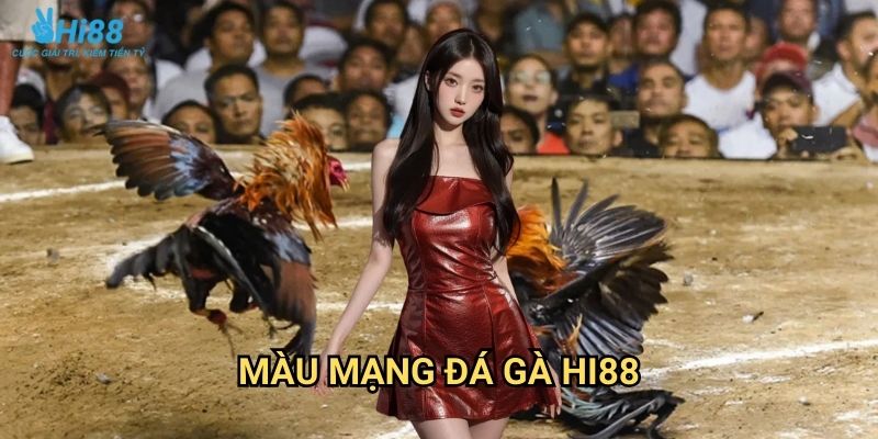 Màu mạng đá gà Hi88 - Phong thủy cá cược theo ngũ hành tương sinh 1 Màu mạng đá gà Hi88 - Phong thủy cá cược theo ngũ hành tương sinh