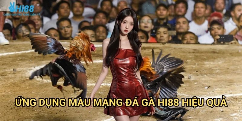 Màu mạng đá gà Hi88 - Phong thủy cá cược theo ngũ hành tương sinh 3 Ứng dụng màu mạng đá gà Hi88 hiệu quả